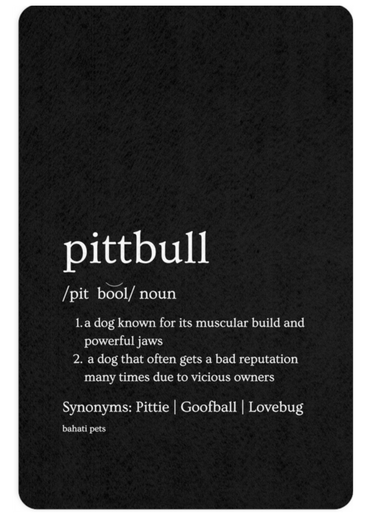 The Definition of A Pitt Bull