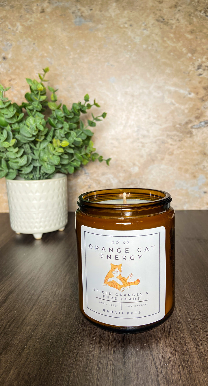 Orange Cat Energy Soy Candle