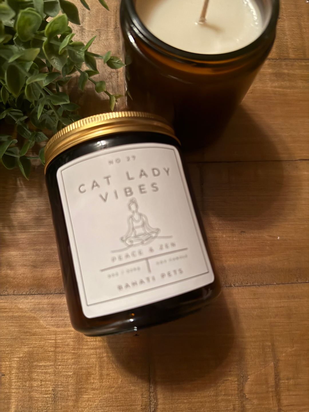 Cat Lady Vibes 8-ounce 100% Soy candle