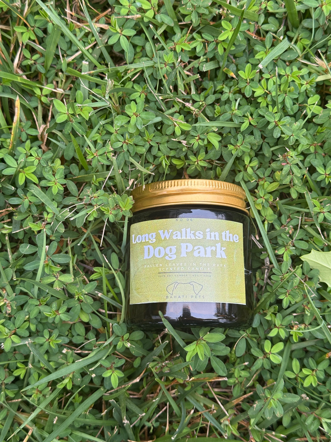 Long Walks In The Dog Park 4 & 8 ounce soy candle