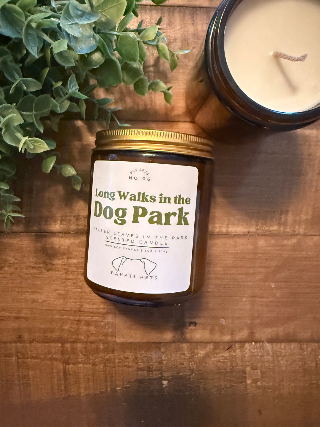 Long Walks In The Dog Park 4 & 8 ounce soy candle