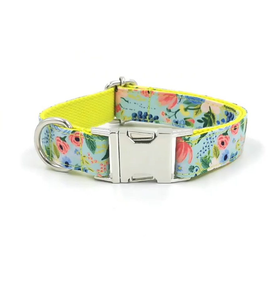 Spring Things Leash, Collar, and Bow Dog walking set yellow