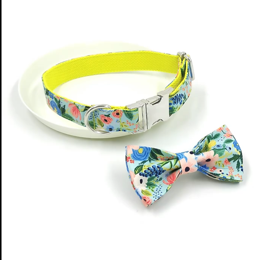 Spring Things Leash, Collar, and Bow Dog walking set yellow