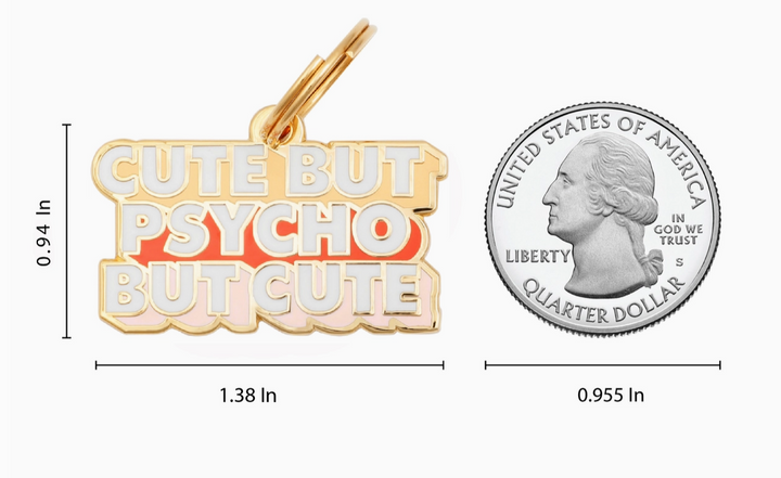 Cute But Psycho Pet Id Tag