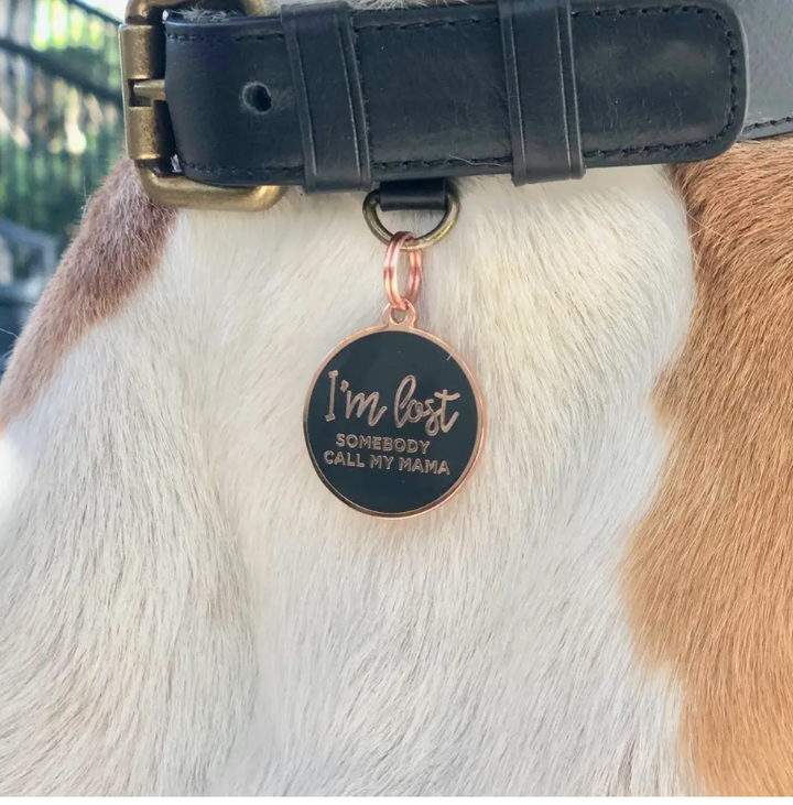 I'm Lost, Somebody Call My Mama Pet Id Tag