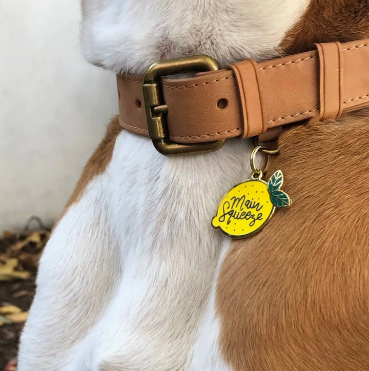 Main Squeeze Pet Id Tag