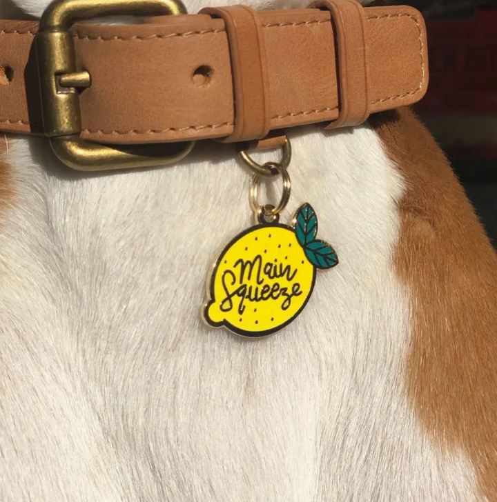 Main Squeeze Pet Id Tag