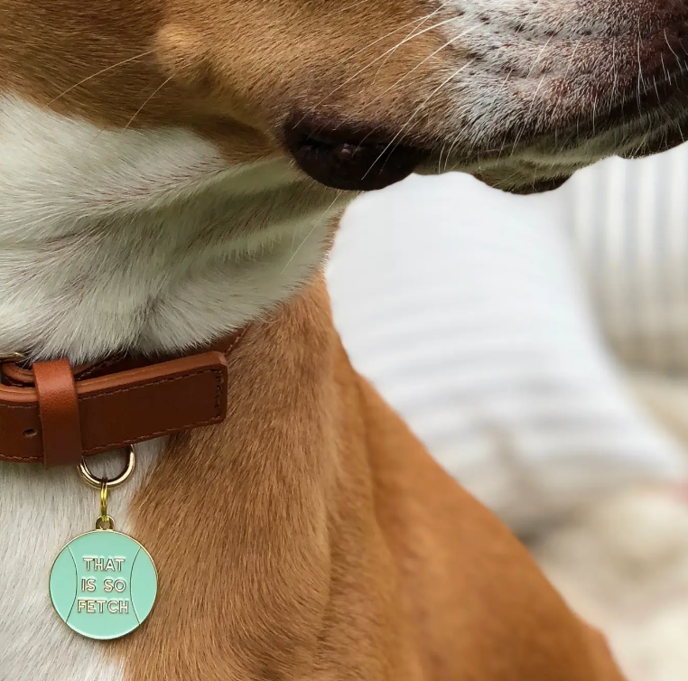That Is So Fetch Pet Id Tag