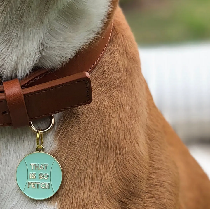 That Is So Fetch Pet Id Tag