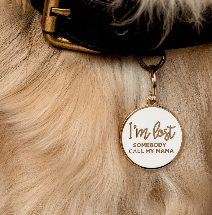 I'm Lost, Somebody Call My Mama Pet Id Tag
